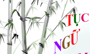 Con trẻ và tục ngữ